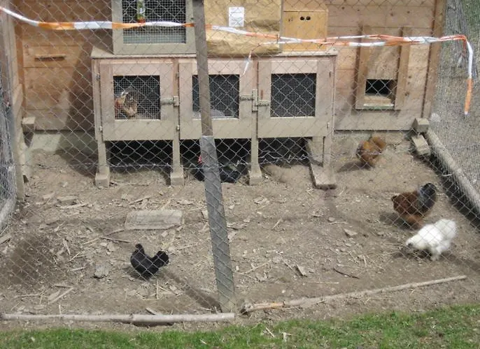 Bunderbach 木屋 阿德尔博登