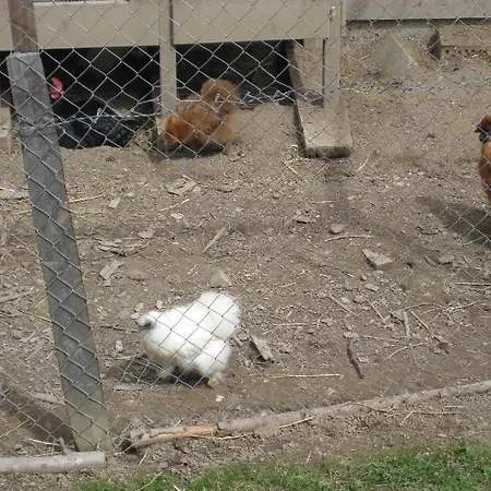 Bunderbach Alpstuga Adelboden