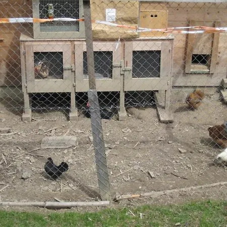 Bunderbach Domek alpejski Adelboden